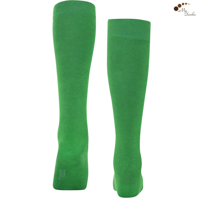 Mysocks Knee High Socks for Women Men Combed Cotton Seamless Toe Tall Long High Socks Green,4-7 - Image 4